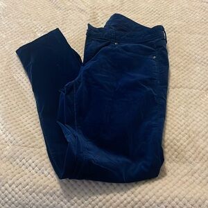 Royal Blue Suede Like Pants